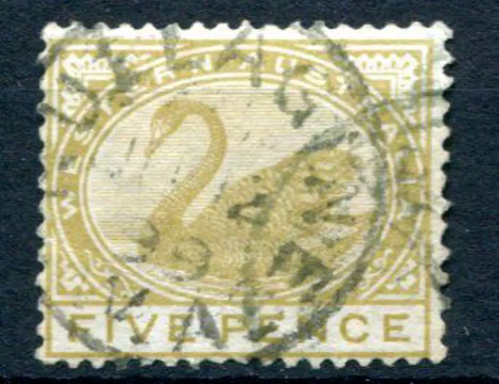 Nullagine 3b on 5d olive swan with a very early ... Image 1++