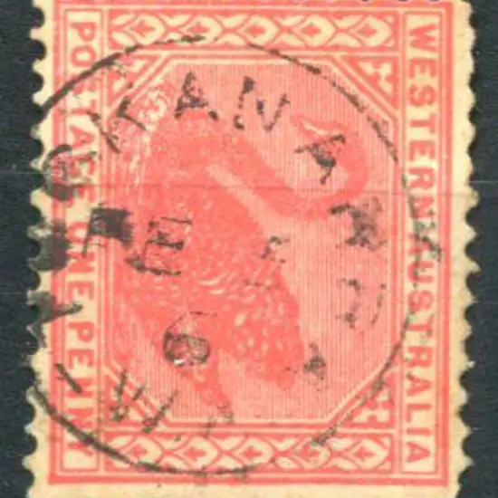 Tuckanarra 3b An almost complete but variable ...