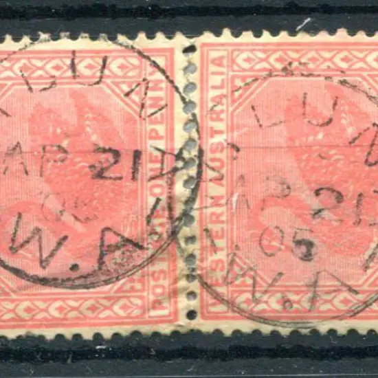 Wiluna 3b Two crisp complete strikes on 1d red ...