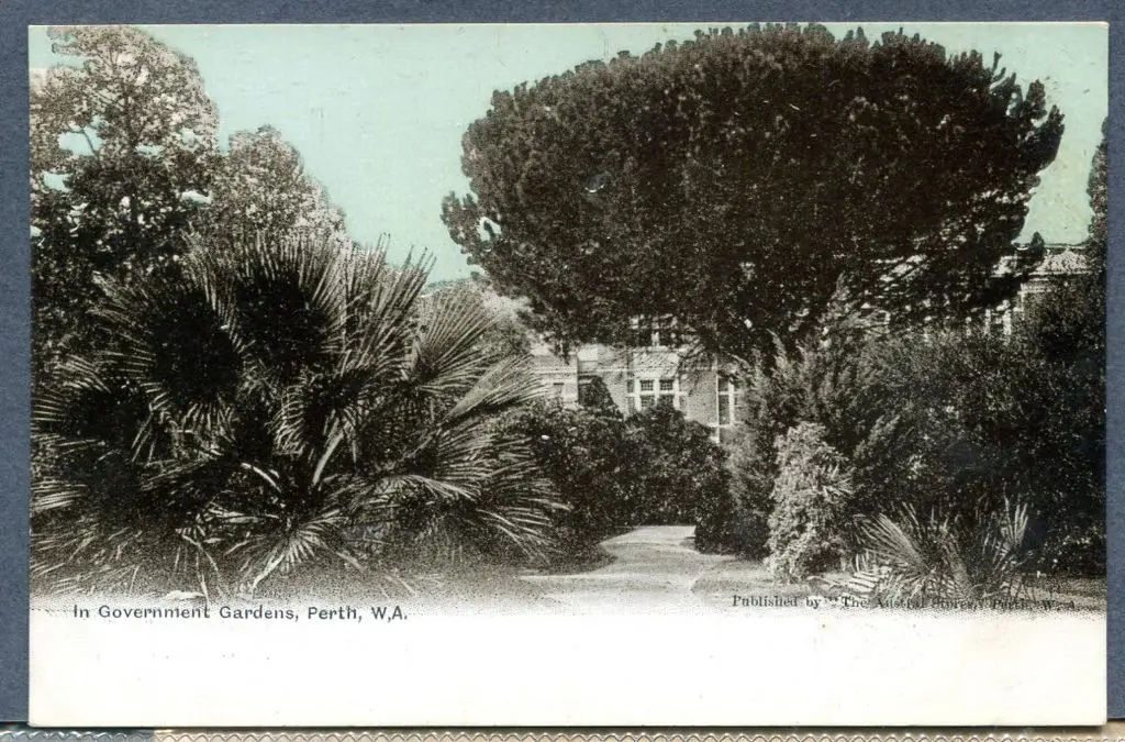"In Government Gardens, Perth, WA" b&w & light ... Image 1++