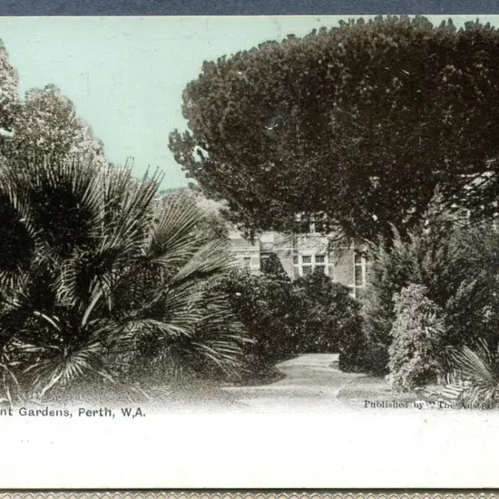 "In Government Gardens, Perth, WA" b&w & light ...