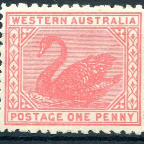 1905 1d rose-pink, Crown over double-lined A ...