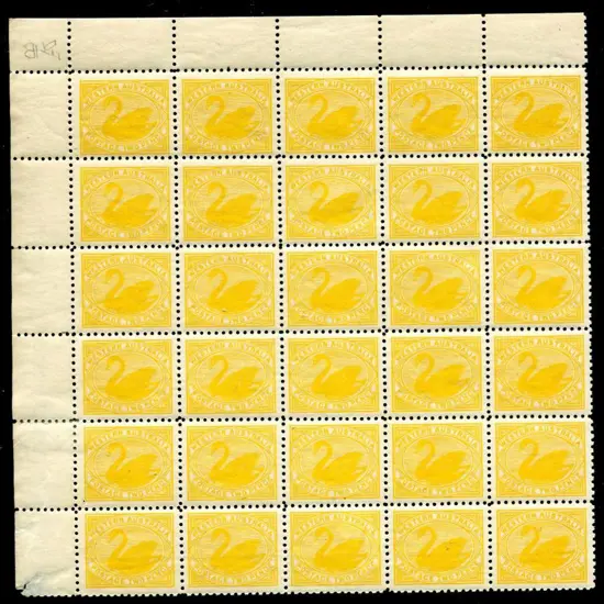 1905 2d yellow x 120. This appears to be a ...
