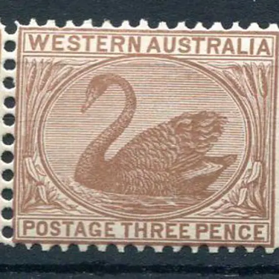 1906 3d brown in horiz pair with current number ...