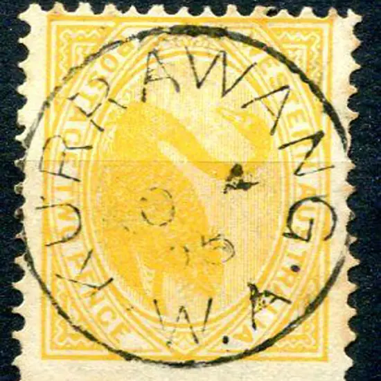 Kurrawang Bullseye strike on 2d yellow swan for NO ...