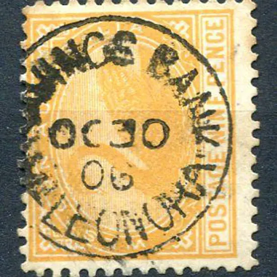 Leonora Savings Bank SBv on 9d orange swan for OC ...
