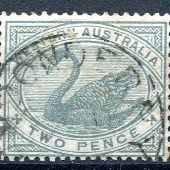 Londonderry 3b-9 on 2d grey swan. Indistinct date ...