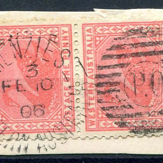 Menzies Duplex Dx PO-c Index 3 Complete on 1d red ...