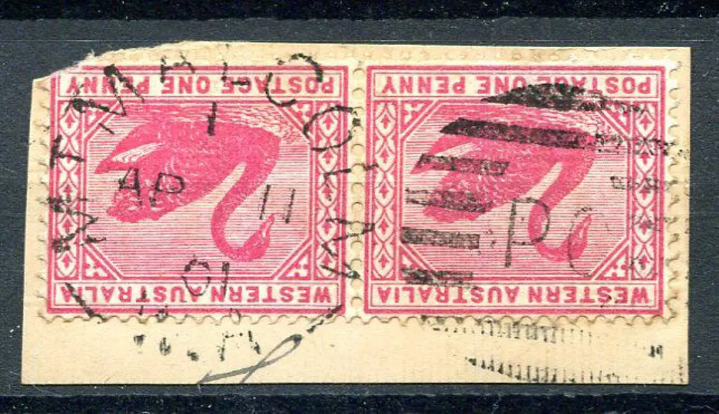 Mt Malcolm DxPO index 1 on pair 1d red swans on ... Image 1++