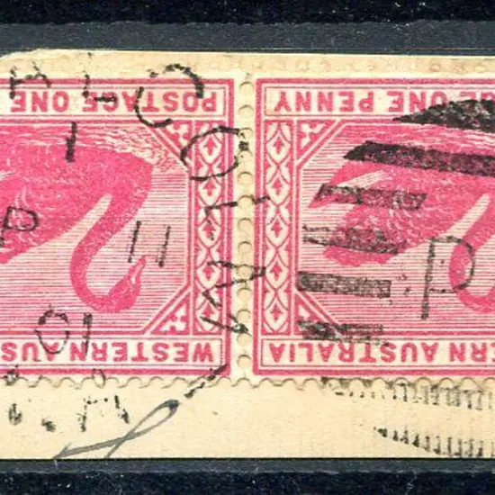 Mt Malcolm DxPO index 1 on pair 1d red swans on ...