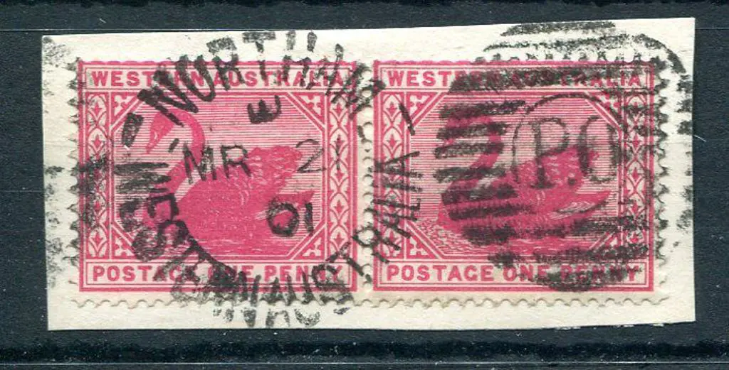Northam Duplex DxPO index E (sideways) on 1d red ... Image 1++