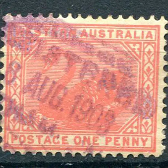 Northam Registered RRS 1 on 1d red swan for ?8 AUG ...