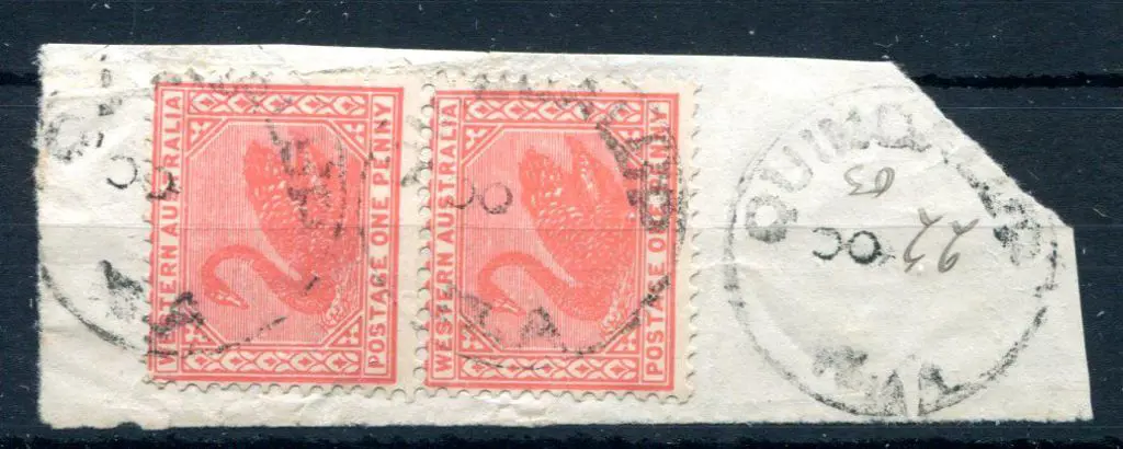 Quindalup 3b Three strikes on 1d red swans pair on ... Image 1++