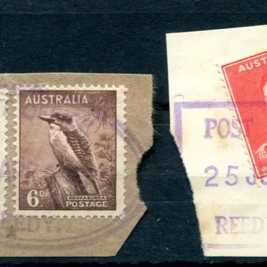 Reedy Post Office ORS1 on Zoological defins on ...