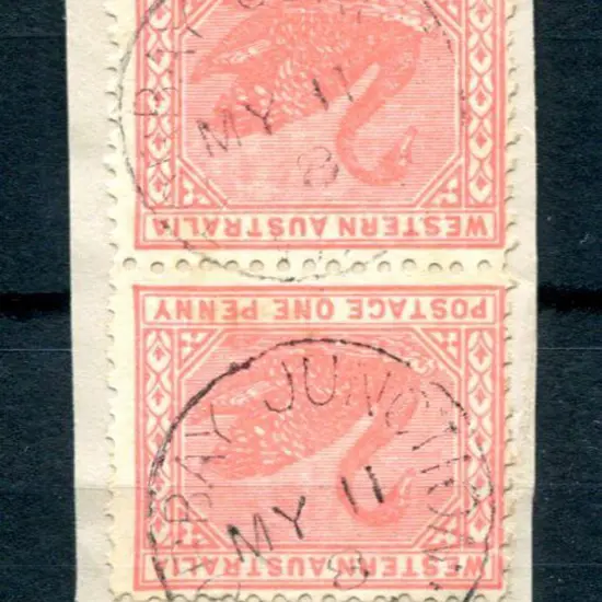 Torbay Junction 3b Two strikes on 1d red swans ...