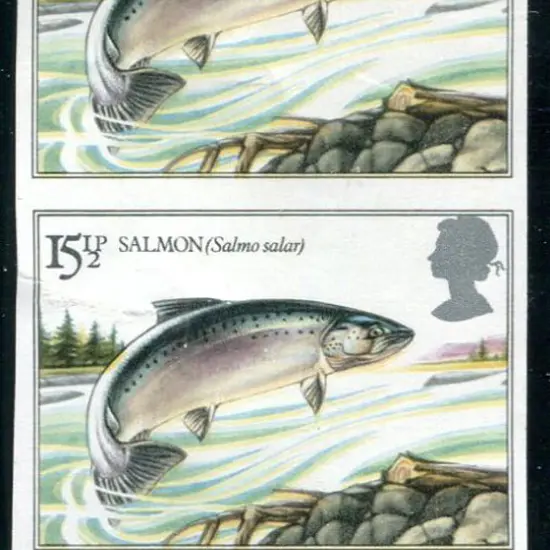 1983 15½p Salmon vertical imperforate pair with ...