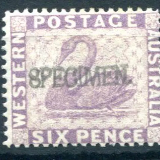 1884 6d lilac swan with "SPECIMEN" h/s. Fine MLH. ...