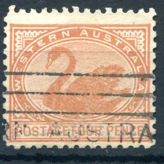 1902 4d chestnut. Fine used with neat machine ...