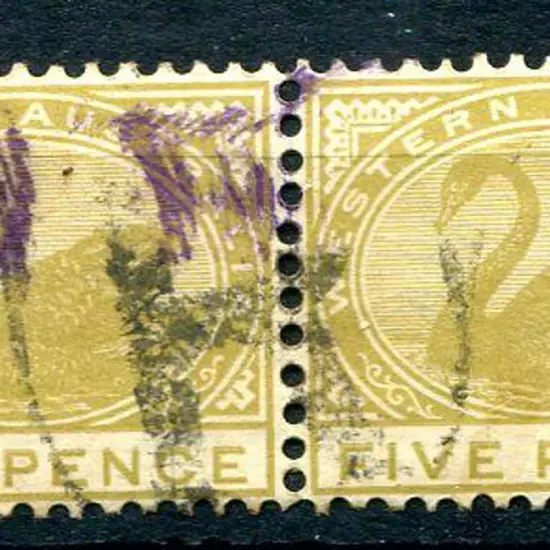 1905/12 5d olive-bistre swan, Crown/A wmk with ...