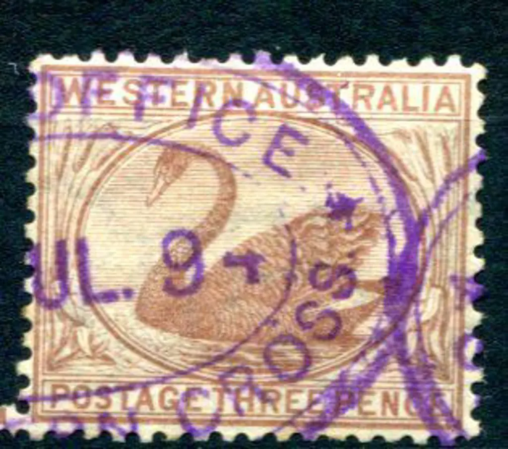 Southern Cross (?) Office on 3d brown swan dated ... Image 1++