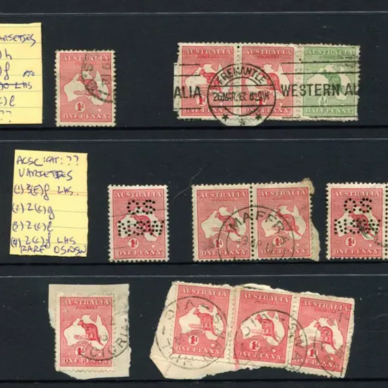 1d reds range of annotated varieties used with ...