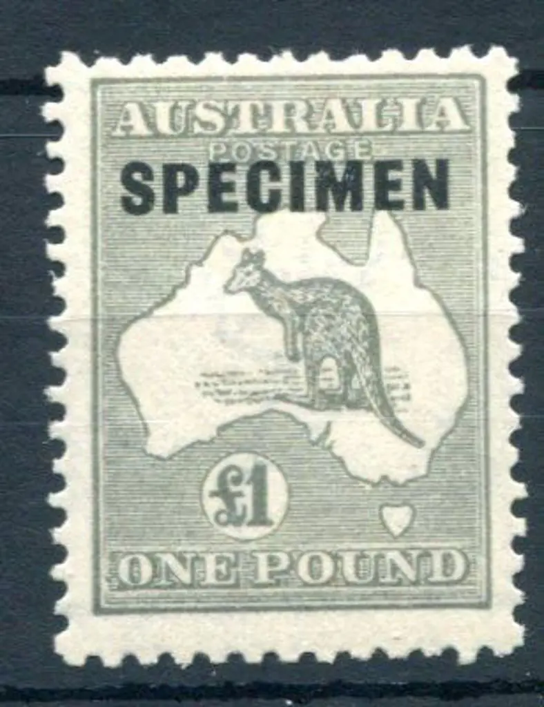 £1 grey ovptd "SPECIMEN" type D. Fine MVLH. ACSC ... Image 1++