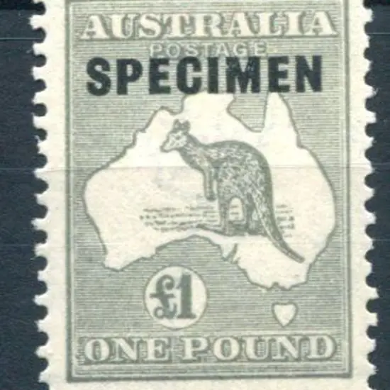 £1 grey ovptd "SPECIMEN" type D. Fine MVLH. ACSC ...