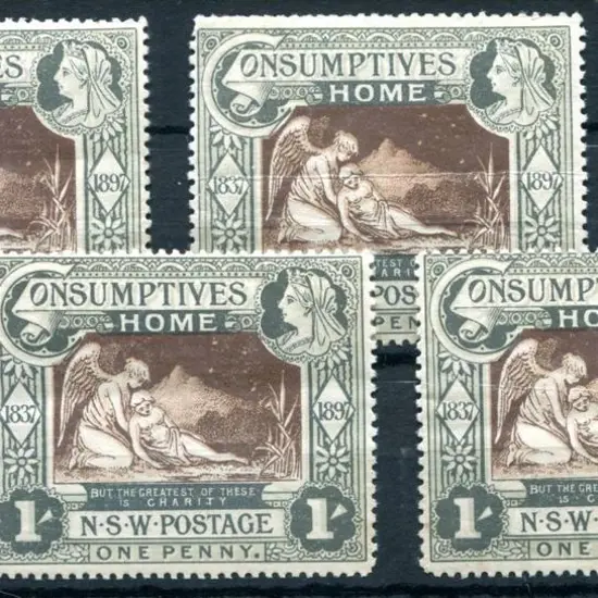 1897 1/- Diamond Jubilee/Consumptive Homes charity ...