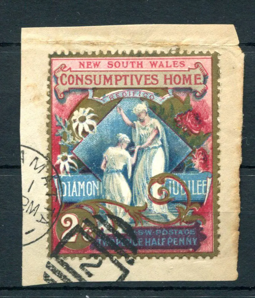 1897 2½d (2/6d) Diamond Jubilee & Hospital Charity ... Image 1++