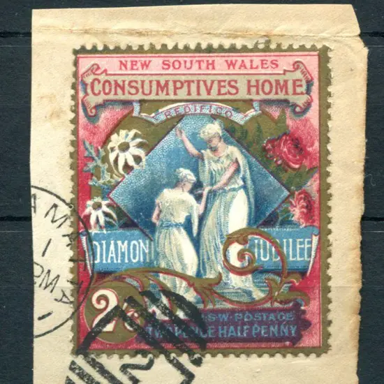 1897 2½d (2/6d) Diamond Jubilee & Hospital Charity ...