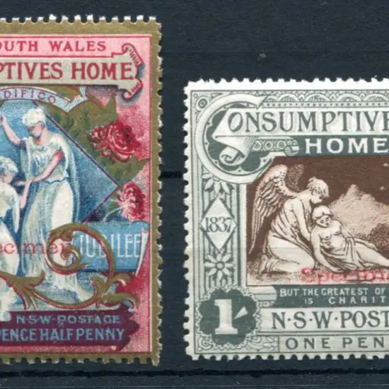 1897 Diamond Jubilee/Consumptive Homes charity ...