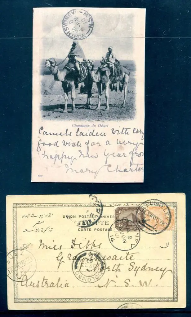 Egypt 1900 (11th Dec) "Chameaux du Desert" (camels ... Image 1++
