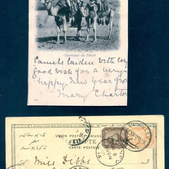 Egypt 1900 (11th Dec) "Chameaux du Desert" (camels ...