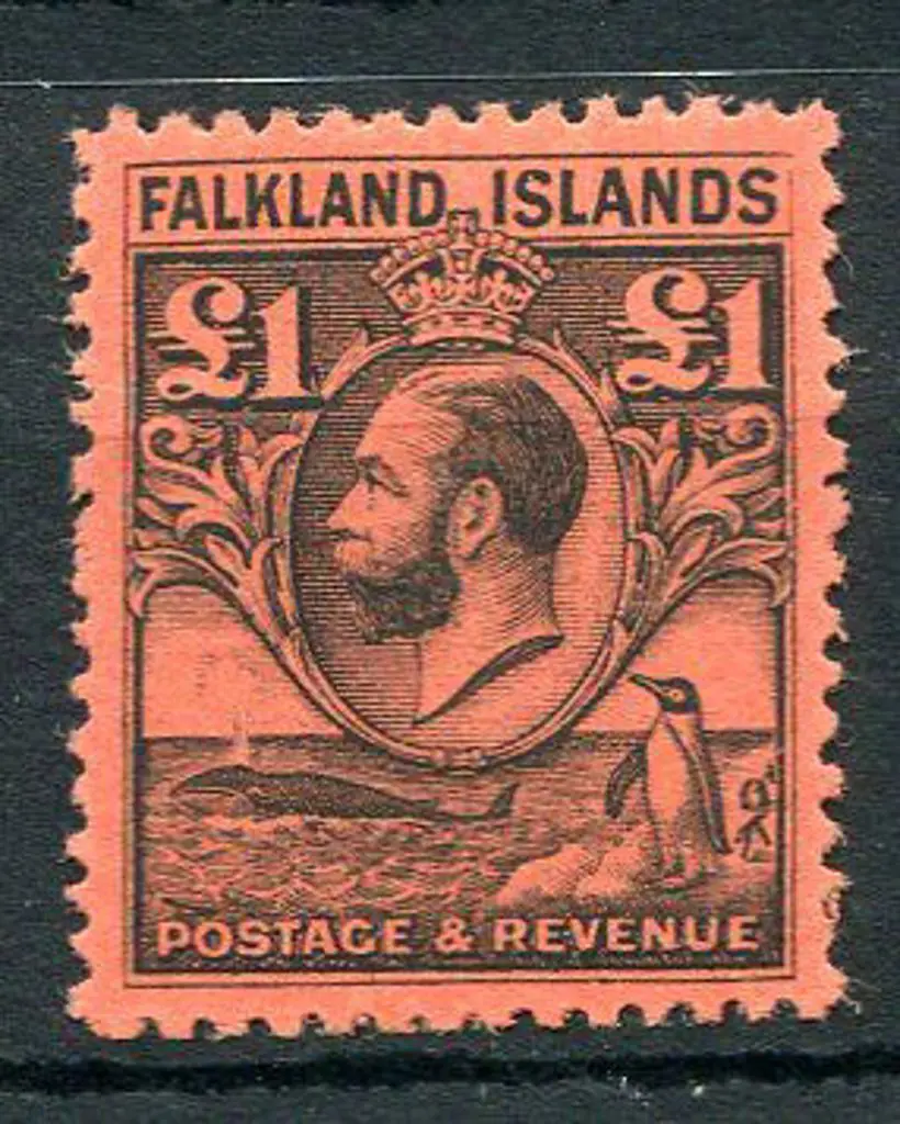Falkland Islands 1929 £1 black on red. Fresh MLH & ... Image 1++