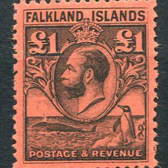 Falkland Islands 1929 £1 black on red. Fresh MLH & ...