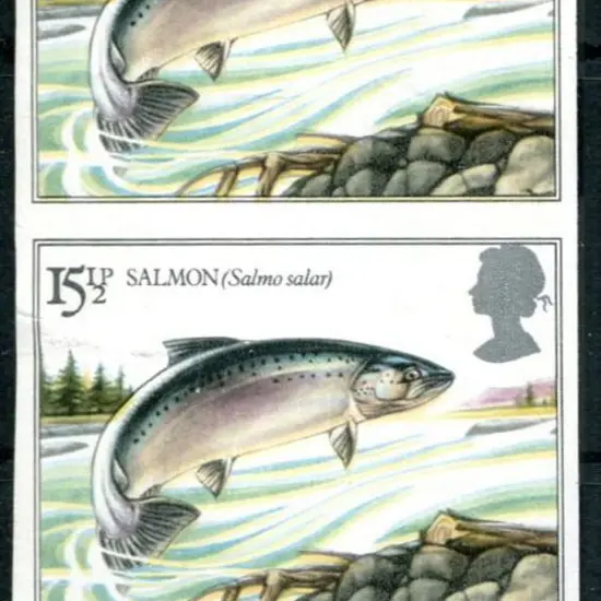 Great Britain 1983 15½p Salmon vertical ...