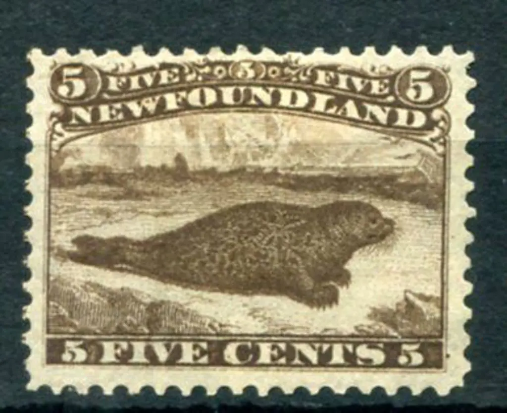 Newfoundland 1865/70 5¢ brown Common Seal on thin ... Image 1++