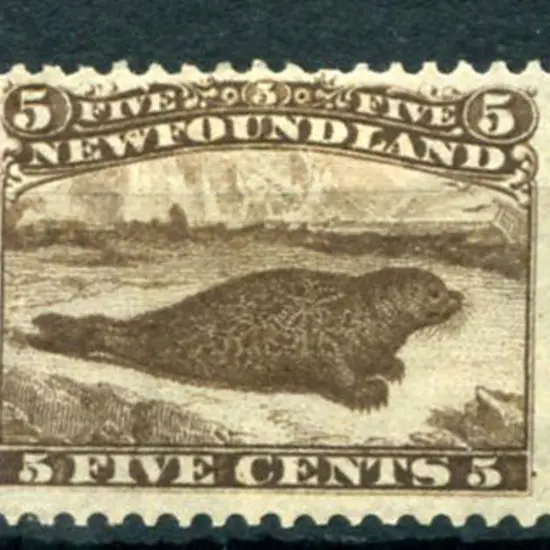 Newfoundland 1865/70 5¢ brown Common Seal on thin ...