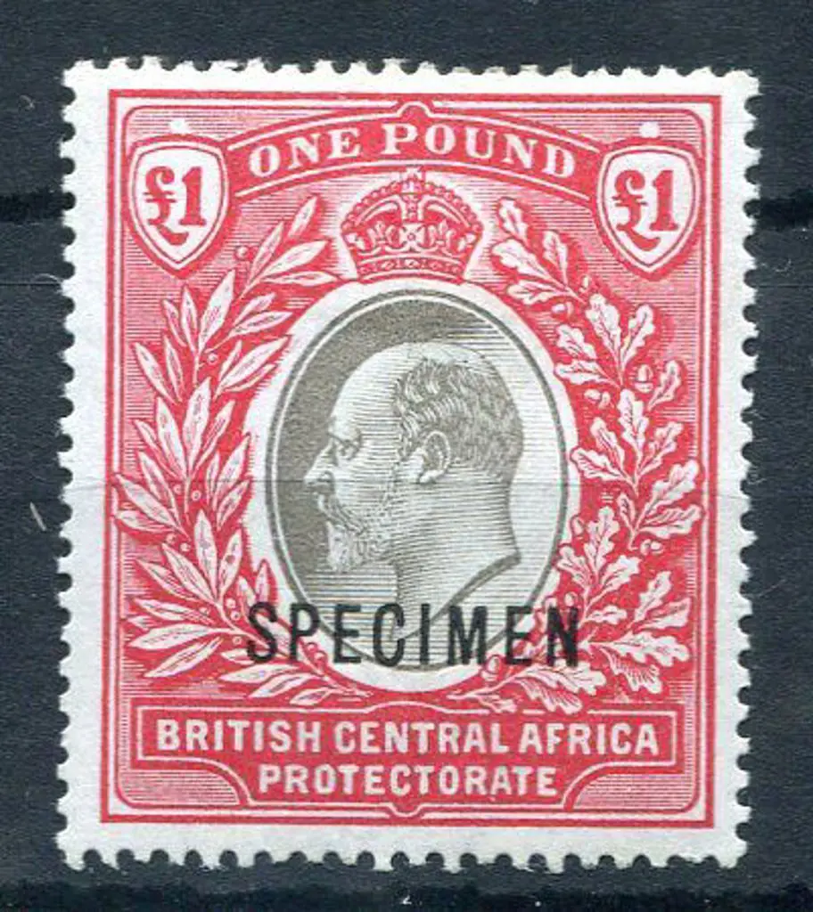 Nyasaland 1903/04 £1 grey & carmine KEVII ovptd ... Image 1++