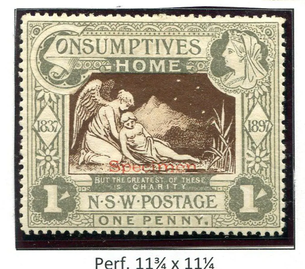1897 Diamond Jubilee/Consumptive Homes charity ... Image 1++