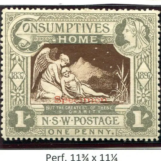 1897 Diamond Jubilee/Consumptive Homes charity ...