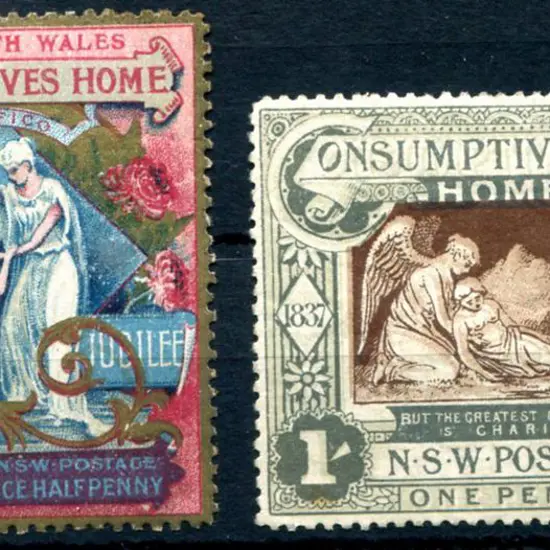 1897 Diamond Jubilee/Consumptive Homes charity ...
