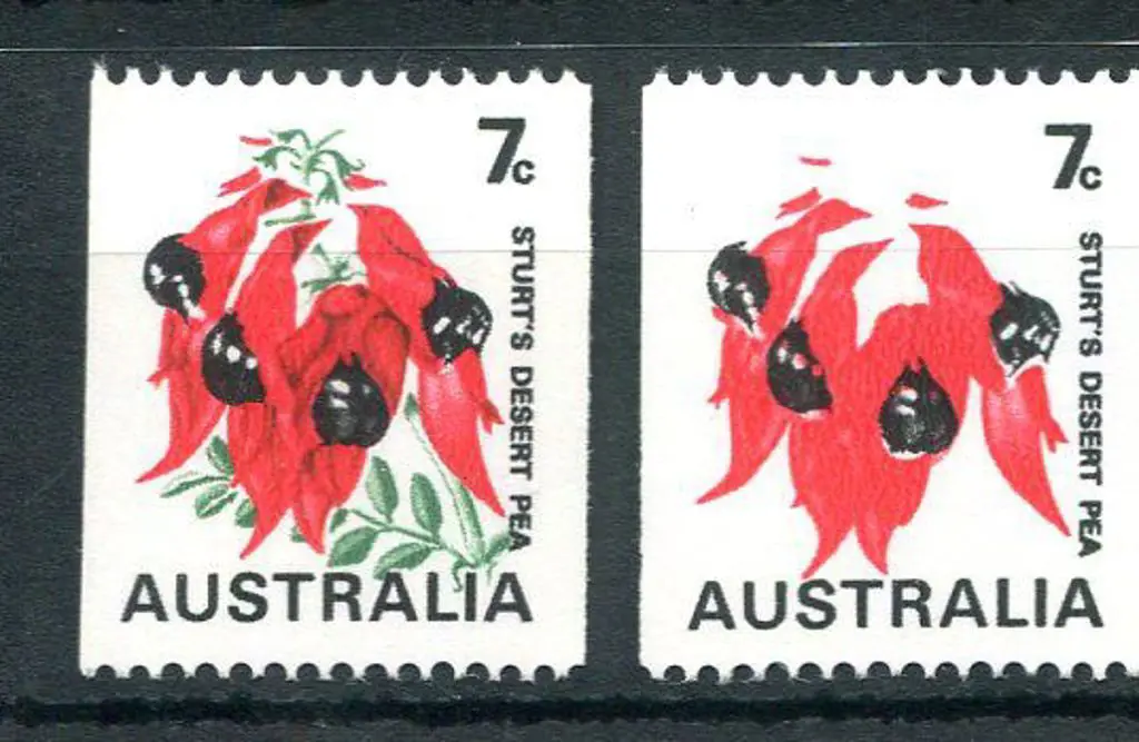 1971 7¢ Desert Pea with "buff omitted" (ACSC ... Image 1++