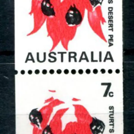1971 7c Sturts Desert Pea coil pair with missing ...