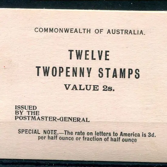 1920/22 2/- black on pink cover with 12 x 2d ...