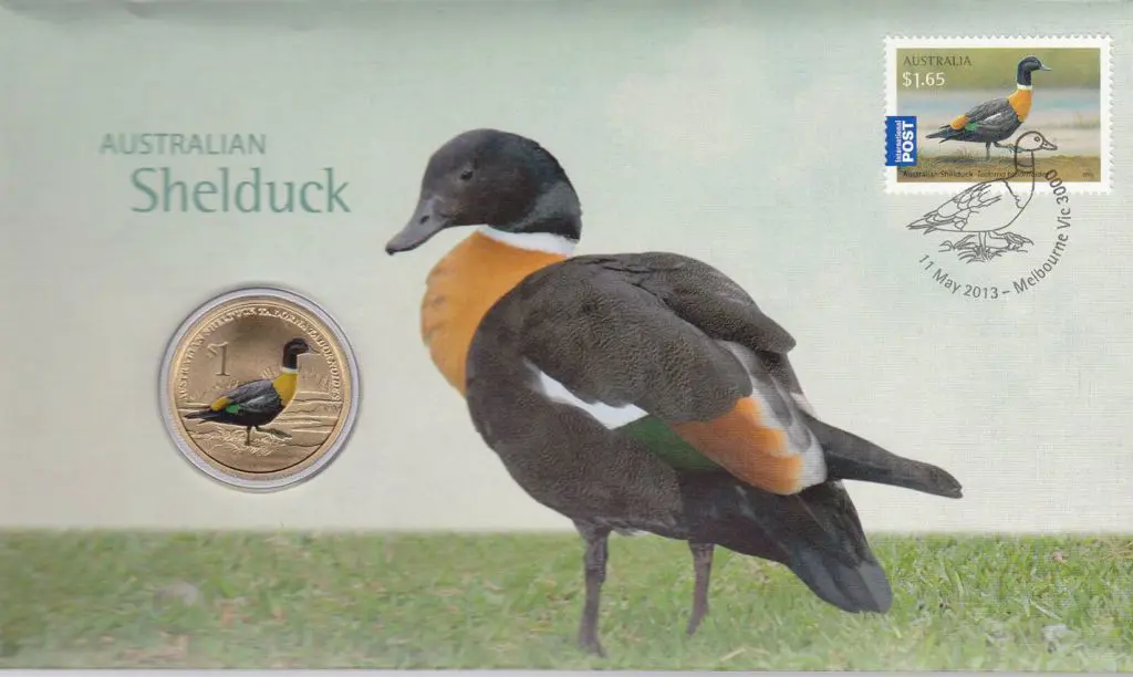 2013 (11th May) Aust Shelduck with matching $1 ... Image 1++