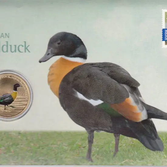 2013 (11th May) Aust Shelduck with matching $1 ...