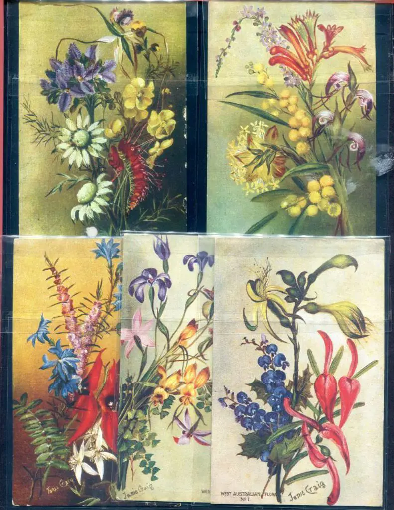 Postcards The Western Australian flora colour ... Image 1++
