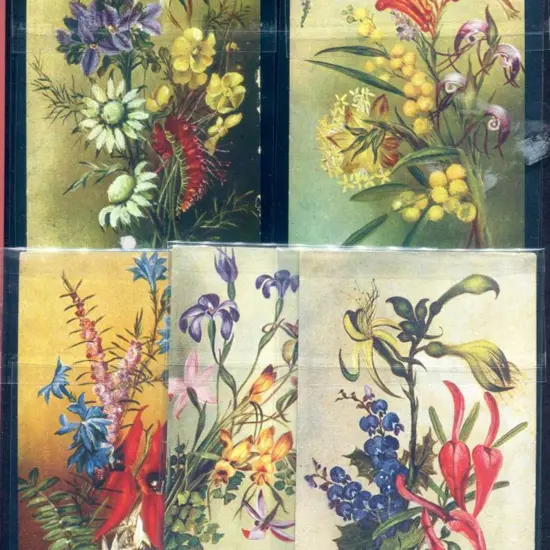 Postcards The Western Australian flora colour ...