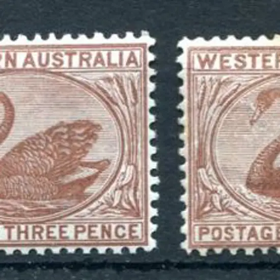 1882/95 3d pale-brown MUH (tone spot) (SG 86) plus ...